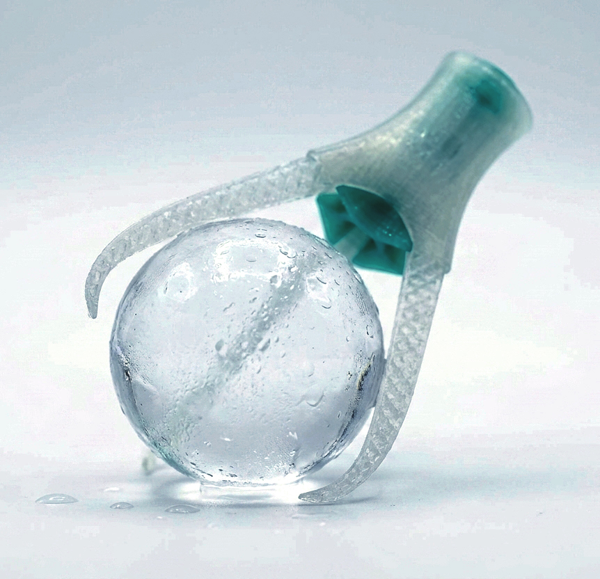 pisco